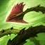 Zyra ability