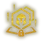 NO SCOUT NO PIVOT