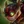 Ziggs