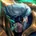 Darius