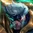Darius
