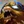 Gnar