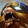 Gnar