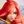 Katarina