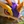 Kog'Maw