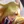 Leona