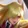 Leona