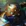 Shen