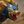 Volibear