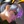 Riven