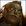 Illaoi