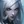 Caitlyn