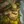 Ivern
