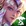 Lux Elderwood
