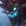 Maokai
