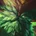 Ornn