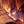 Rakan