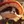 Teemo