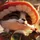 Teemo