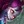 Fiddlesticks
