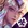 Lux Blackthorn