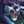 Murkwolf