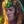 Taric