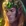 Taric