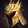 Crown of Demacia
