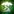 Emblema de Bosque ancestral