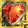 Radiant Steadfast Heart
