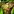 Warmogs Armor