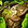 Warmogs Armor