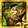 Radiant Warmog's Armor