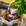 Ekko